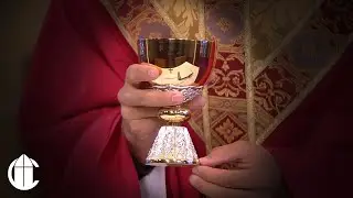 Основание Церкви и стойкость в любви: ежедневная католическая месса | Вторник, 28 октября 2025 г.