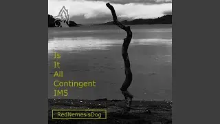 Is It All Contingent IM5
