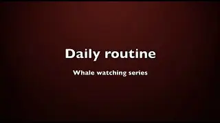 TopWar: Daily routine