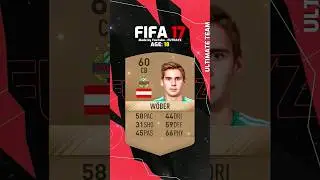 W&ouml;ber FIFA EVOLUTION FIFA 17 - FIFA 24
