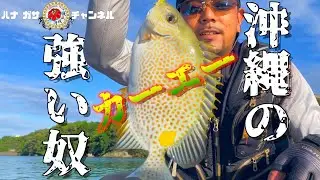 Vol.30【南部ポイント単独釣行】よッしゃ！カーエー釣れた！