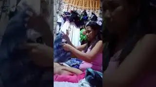 Daming tiklupin