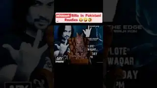 Bangad Billa in paakistani Show Rowdies To show his talent#shorts#feed#shortfeed #youtubeshorts #cat