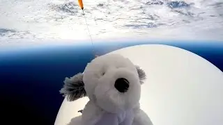 The Moment Sam the Toy Dog Was Lost in Space #FindSam