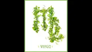 2021 Virgo New Moon Community Ceremony