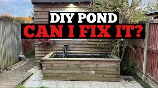 DIY POND - Can I FIX it?