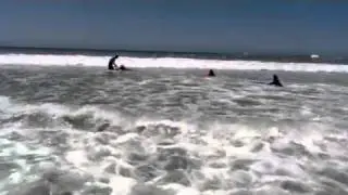 Cardiff surf