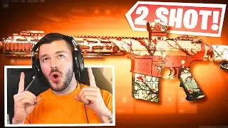 *НОВЫЙ* 2-КАДРНЫЙ ТЕМПУС-ТОРРЕНТ в WARZONE 2! (Лучшая настройка класса Tempus Torrent)
