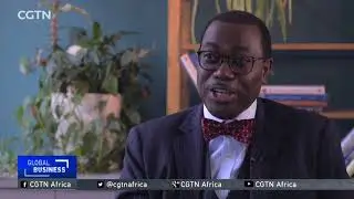 INTERVIEW: AfDB to mobilise $1 billion to improve farming technology