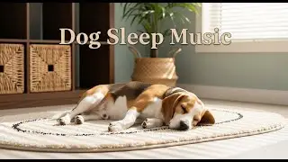 🔴[LIVE] Virtual Window for Dogs 🪟 Soothing Nature Scenes & Relaxing Music 🐾 Cures Boredom