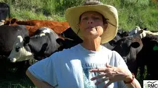 30 Seconds on Stockpiling Forage