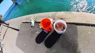 Fishing at Haulover Inlet, Miami Beach Florida #angler #fishinglife