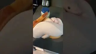 snake sandwich 🥪