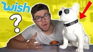 I'M TESTING A WISH CONNECTED DOG! (It's a speaker, what...)