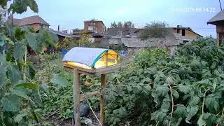Пока спят воробьи! А, не. Уже не спят!