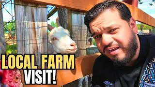 Why I Support Local Farms (Even If It&rsquo;s More Expensive!) | Farm Tour + Fresh Produce