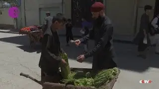 Sluggish economy reduces Afghan children's access to education