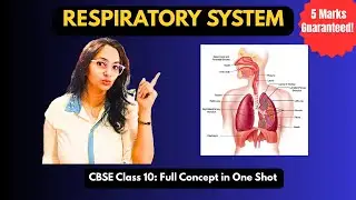 Class 10 Respiration | CBSE Life Processes | Full Easy Explanation for Boards