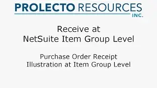 Поступления товаров NetSuite на уровне группы товаров