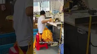 Yiwu Mengcheng Pet Products Co., Ltd.#factory #pet #petsupplies #wholesale