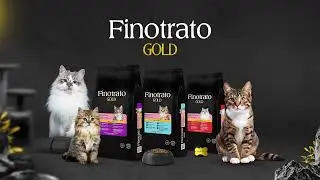 NOVA FINOTRATO GOLD GATOS