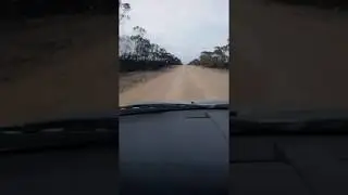 Esperance Fire Damage Grasspatch WA Australia 24 October 2015