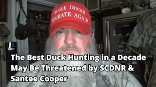 The Best Public Water Duck Hunting in a Decade may be Threatened By SCDNR and Santee Cooper