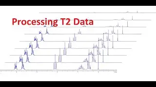 Processing T2 Data