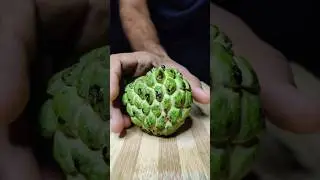 Sitaphal Milkshake | Sugar Apple Milkshake #shorts #asmr