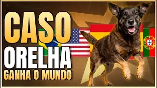 CASO ORELHA: PRESSÃO INTERNACIONAL! | LINK PODCAST