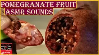 ASMR #asmrsounds Healthy Pomegranate Fruit #asmrfood Crisp Crunchy Cutting Wet Burst Peeling Sounds