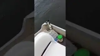 Spring bluefishing Navesink river