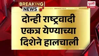 Pudhari News | दोन्ही राष्ट्रवादी एकत्र येण्याच्या दिशेने हालचाली | #maharashtranews