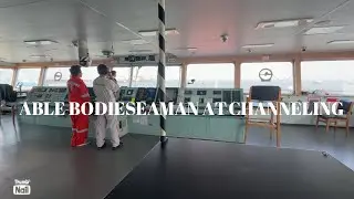 Channeling With Pilot Able bodieseaman duty At bridge helmsman on the wheel #seaman  #seafarer