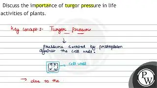 Discuss the importance of turgor pressure in life activities of plants.
