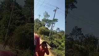 #Anarkoli#baby#trending #short#farmland#goviral#popularshorts#naturalbeauty#greenland#mountaiview#bd