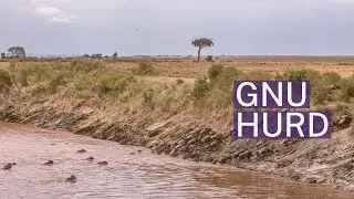 GNU Hurd