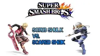 Super Smash Bros. for WII U: Scrub Shulk vs. Scary ass Shiek