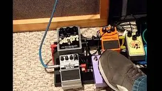 LEEMS BEEMS Laser Expression Pedal Fuzz n Phaser