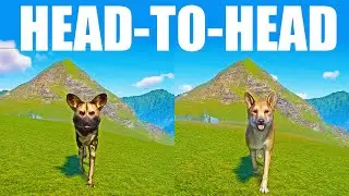 African Wild Dog vs Dingo A Head to Head Speed Race in Planet Zoo