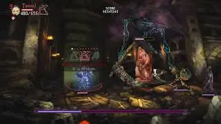 Dragon's Crown ToM Elf solo vs Wraith