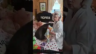 Momma sick Homer wants cuddle