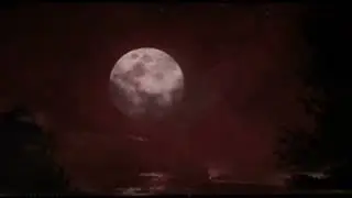 Neyleyim D&uuml;nya Malını Sen Beni,m Ol yeter Bana