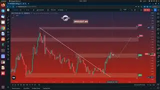 IMXUSDT / March 01, 2023 - Price Analysis