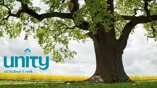 Embracing Conflict! Turning Foes into Friends - Unity of Walnut Creek October 16, 2022