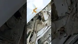 Swift repairing accident 😓😓