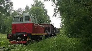 ТГМ40-0929 С хопперами.