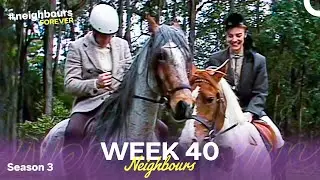 Week 40 | Episodes 596-600 | Neighbours 1987 (Season 3)
