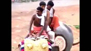 Elephant attack ,3 Men narrow escape at kerala | ഭാഗ്യം രക്ഷപെട്ടു