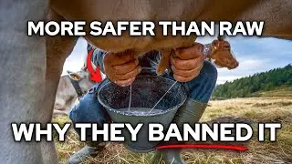 More Digestible Than Cow Milk, Safer Than Raw: The Traditional Dairy Method They Made Illegal